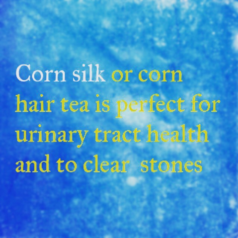Corn-Silk