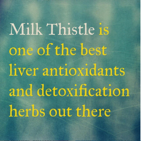 Milk Thistle