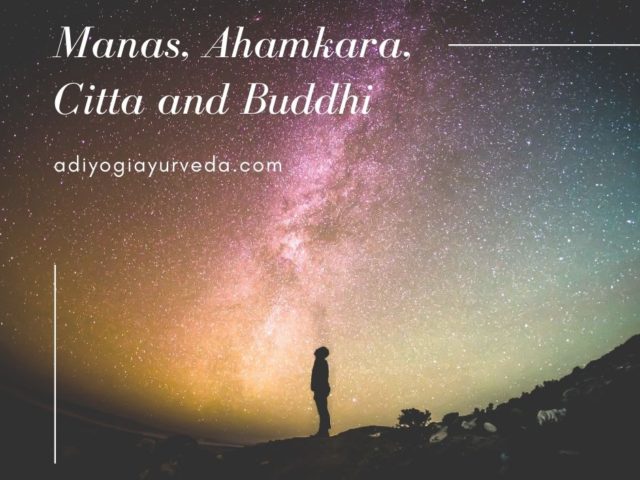 Manas Ahamkara Citta and Buddhi