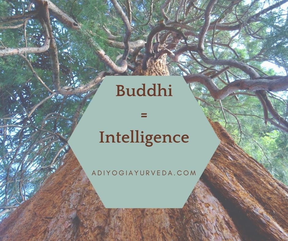 buddhi-intelligence