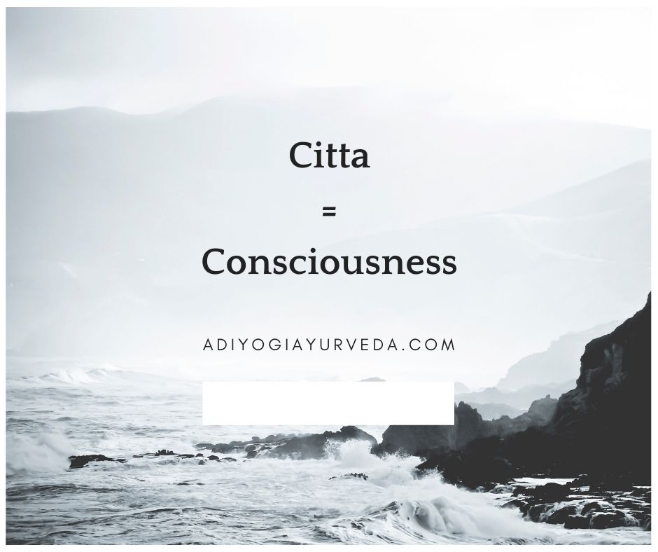 citta-consciousness