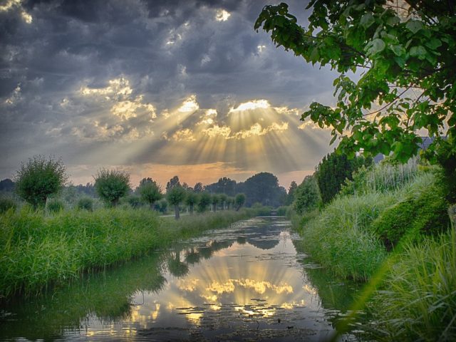 Trans-generational Epigenetic Inheritance