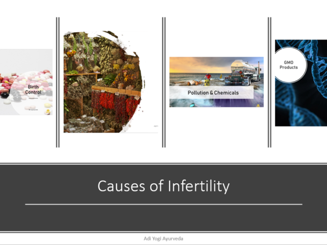 Infertility Examined: Holistically & Esoterically