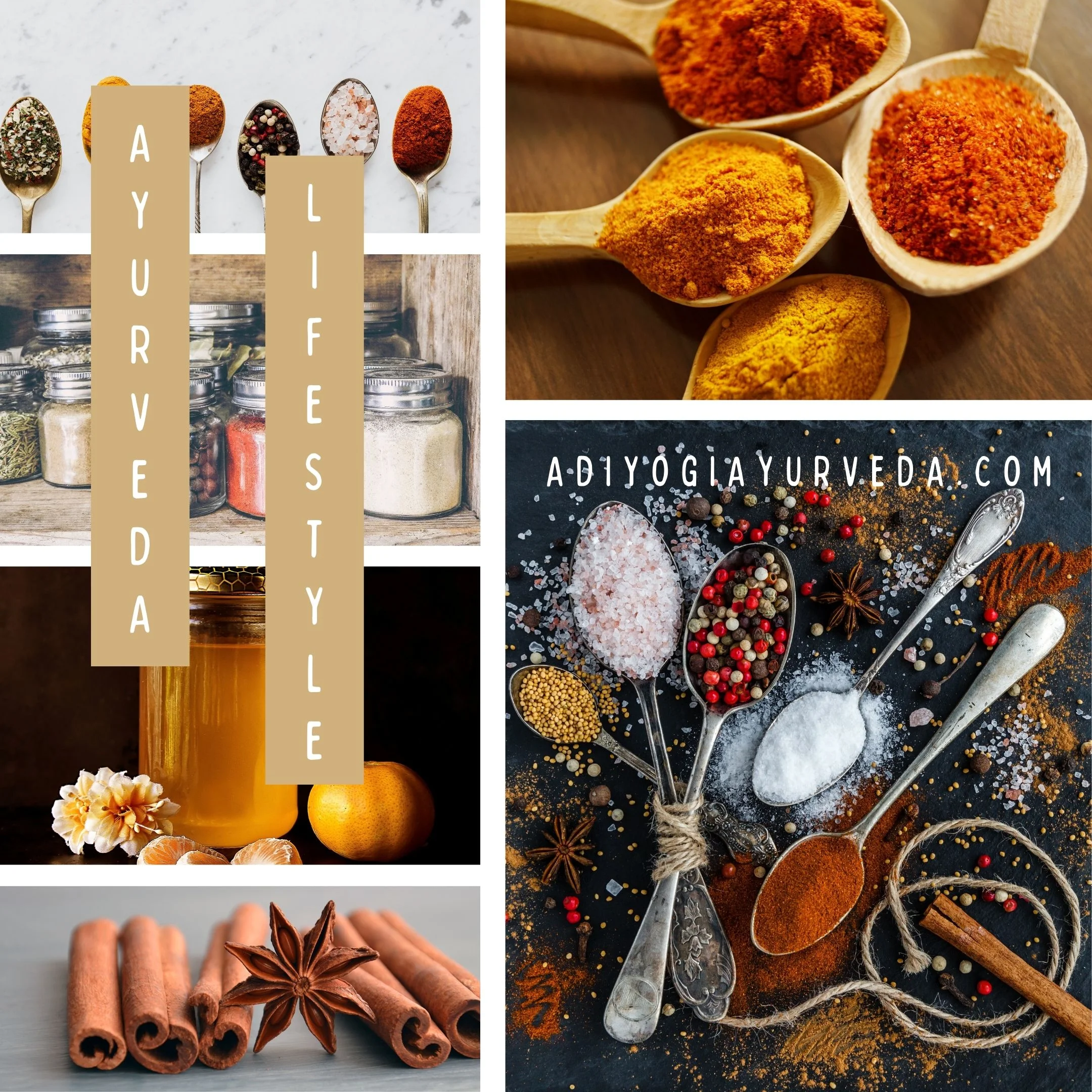 5 Lifestyle Practices for Success