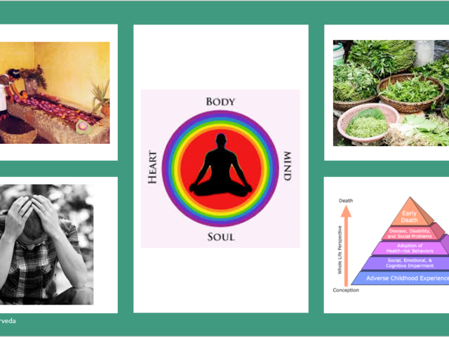 6 Types of Food I Gave Up and Why