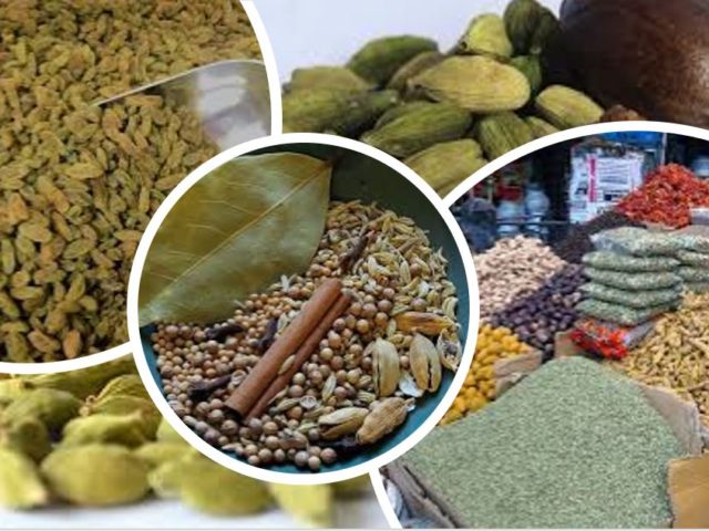 Cardamom| Elettaria Cardamomum