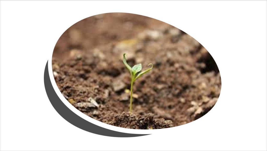 earth-element-ayurveda