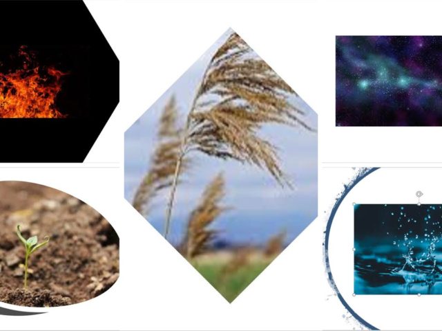 Understanding Doshas and the Elements