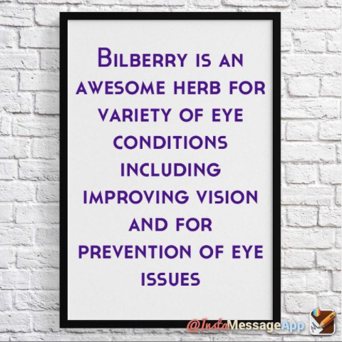 Bilberry