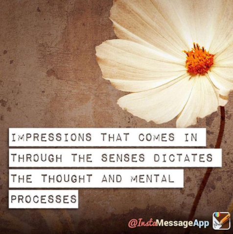 Impressions-Come-in-Through-the-Senses
