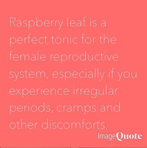 Raspberry-Leaf