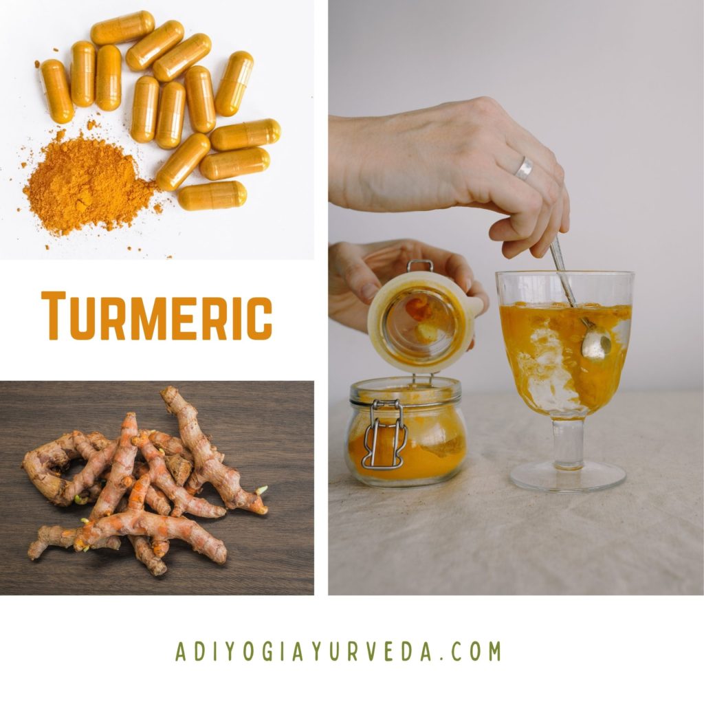 Turmeric-or-Curcuma-longa