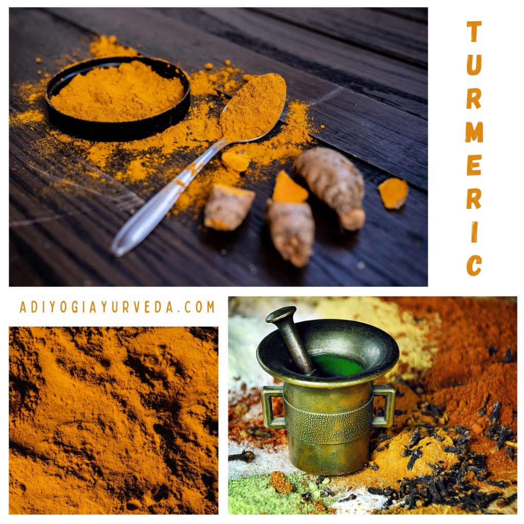 Turmeric-or-Curcuma-longa